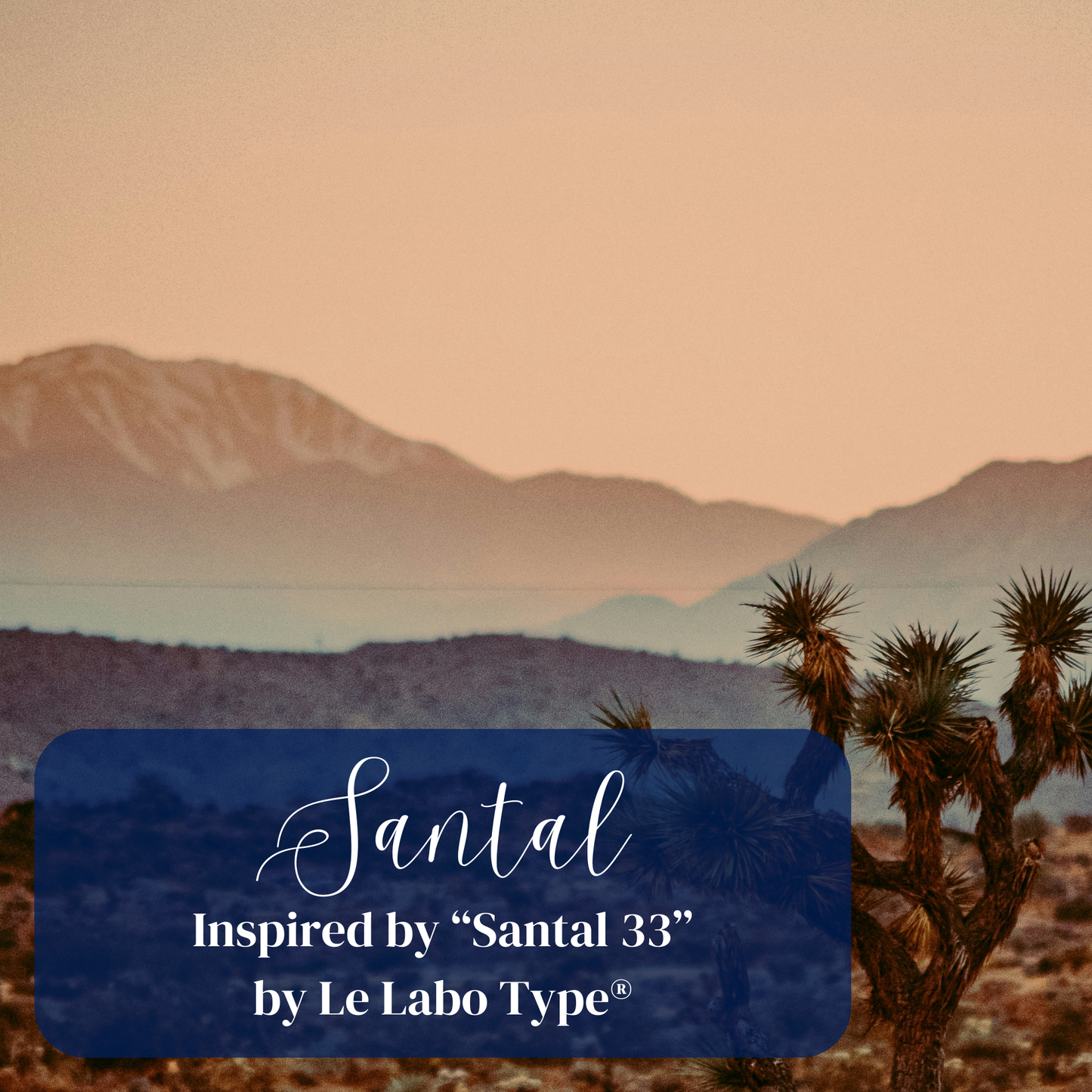 Luxe 3-Wick Candle - Large 28oz